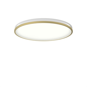 Louis Poulsen AJ Munkegaard Ceiling Light Ø46 3000K & Dali/ Switch- Dim Brass