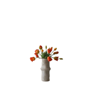 Botané Tulip Mixed Bouquet Orange