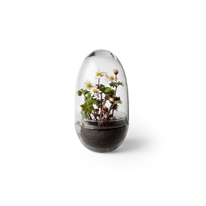 Design House Stockholm Grow Vase Medium Clear