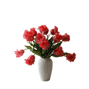 Botané Parrot Tulips Bouquet Red